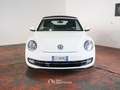 Volkswagen Maggiolino Cabrio 1.2 tsi 105 CV UFFICIALE ITALIANA Blanc - thumbnail 3