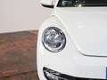 Volkswagen Maggiolino Cabrio 1.2 tsi 105 CV UFFICIALE ITALIANA Blanc - thumbnail 9