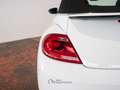 Volkswagen Maggiolino Cabrio 1.2 tsi 105 CV UFFICIALE ITALIANA Blanc - thumbnail 10