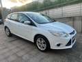 Ford Focus 1.6 TI-VCT Trend Gris - thumbnail 3