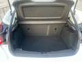 Ford Focus 1.6 TI-VCT Trend Gris - thumbnail 12
