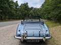 Austin-Healey 3000 MK2A Blau - thumbnail 7