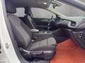 Opel Insignia B Grand Sport Edition Weiß - thumbnail 15