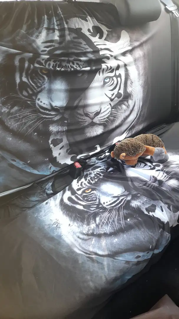 Volkswagen Polo Polo 1.4-16V Comfortline Zilver - 1