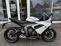 Triumph Daytona 650 Daytona 660 Kundenvorteil -660€ +A2-möglich Blanc - thumbnail 3