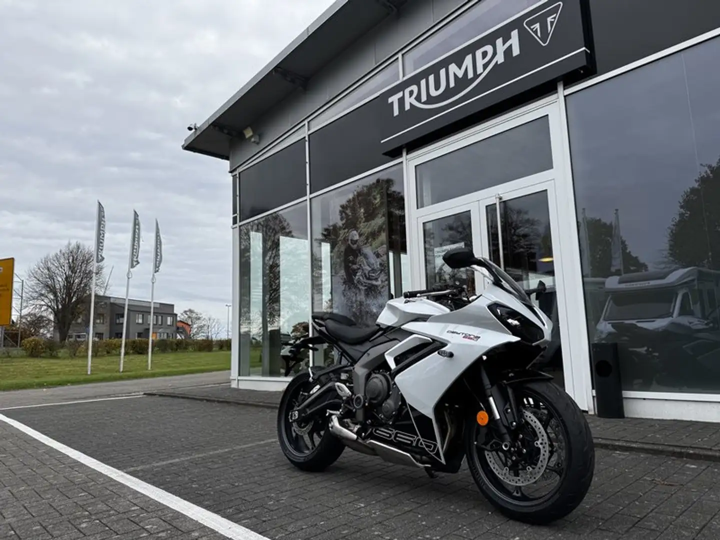 Triumph Daytona 650 Daytona 660 Kundenvorteil -660€ +A2-möglich Blanc - 1