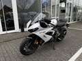 Triumph Daytona 650 Daytona 660 Kundenvorteil -660€ +A2-möglich Blanc - thumbnail 8