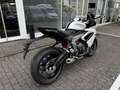 Triumph Daytona 650 Daytona 660 Kundenvorteil -660€ +A2-möglich Blanc - thumbnail 4