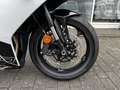 Triumph Daytona 650 Daytona 660 Kundenvorteil -660€ +A2-möglich Blanc - thumbnail 11