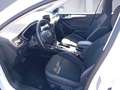 Ford Focus Turnier 2.0 EcoBlue  Aut. COOL&CONNECT *AHK* Blanc - thumbnail 8