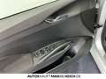 Skoda Fabia 1.0 TSI DSG Tour WINTER PLUSPAKET 50L TANK Silber - thumbnail 13