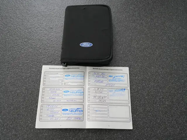 Ford Focus view 15