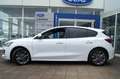 Ford Focus Focus MHEV ST-Line Style++LED, Kamera, KeyFree  BC Bianco - thumbnail 2