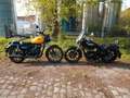 Royal Enfield Meteor 350 2024 Modell Aktion in gelb Żółty - thumbnail 6