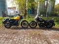 Royal Enfield Meteor 350 2024 Modell Aktion in gelb Żółty - thumbnail 4