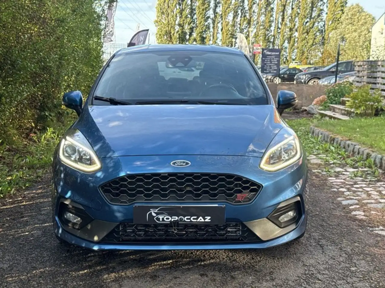 Ford Fiesta ST — photo 7