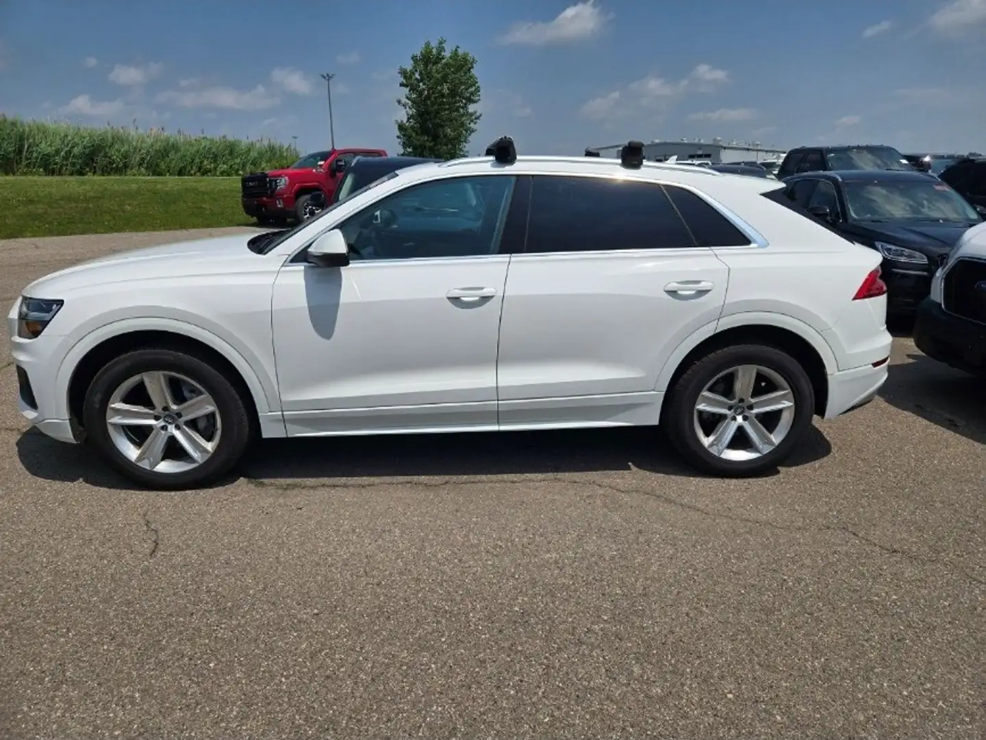 Audi Q8 Q8 55 TFSI quattro tiptronic Weiß - 1