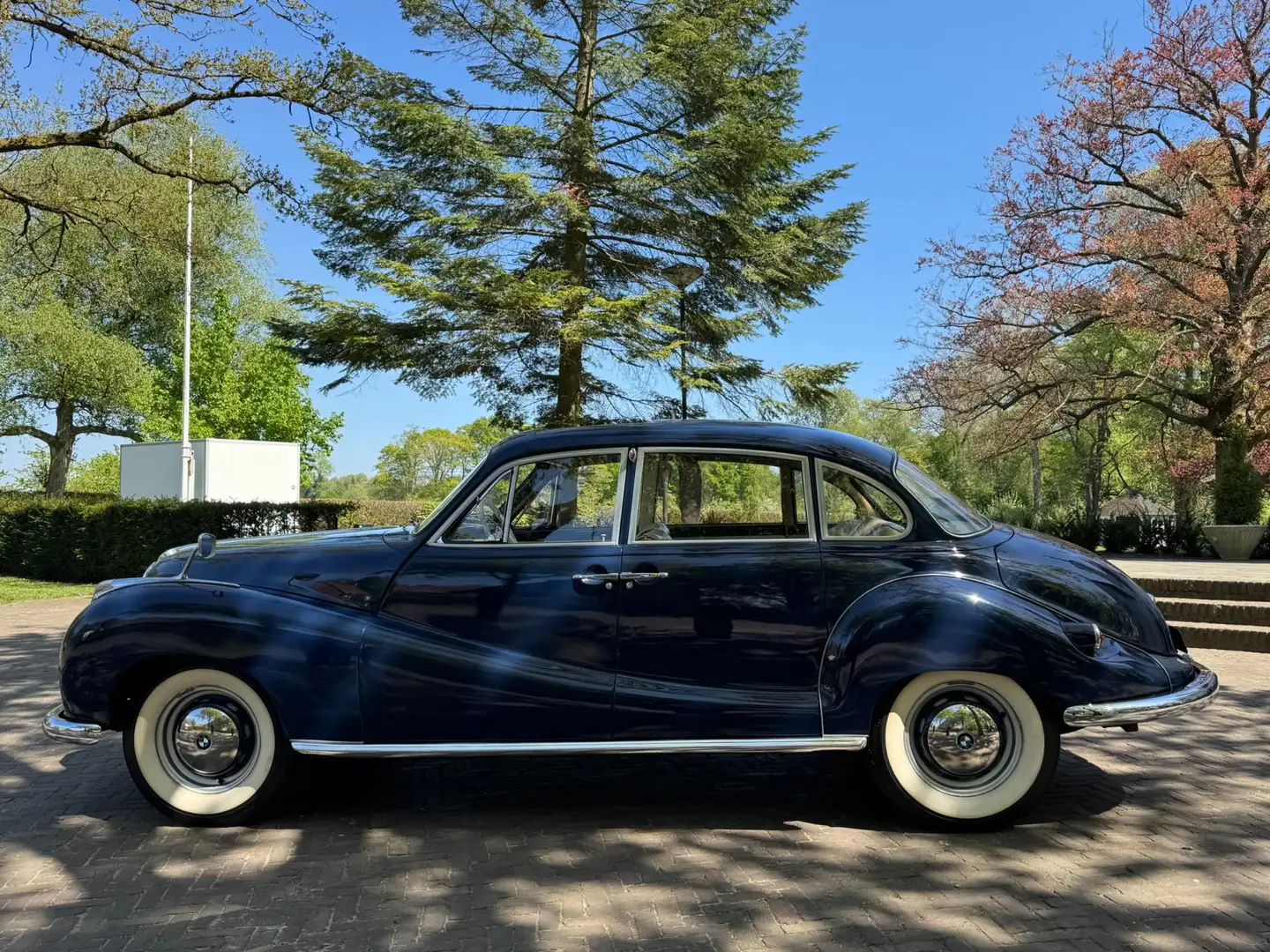 BMW 501 V8 "Barokengel" Albastru - 2