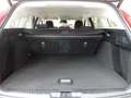 Ford Focus Turnier 1.0 EcoB. mHEV Aut. Active X iACC Rot - thumbnail 8