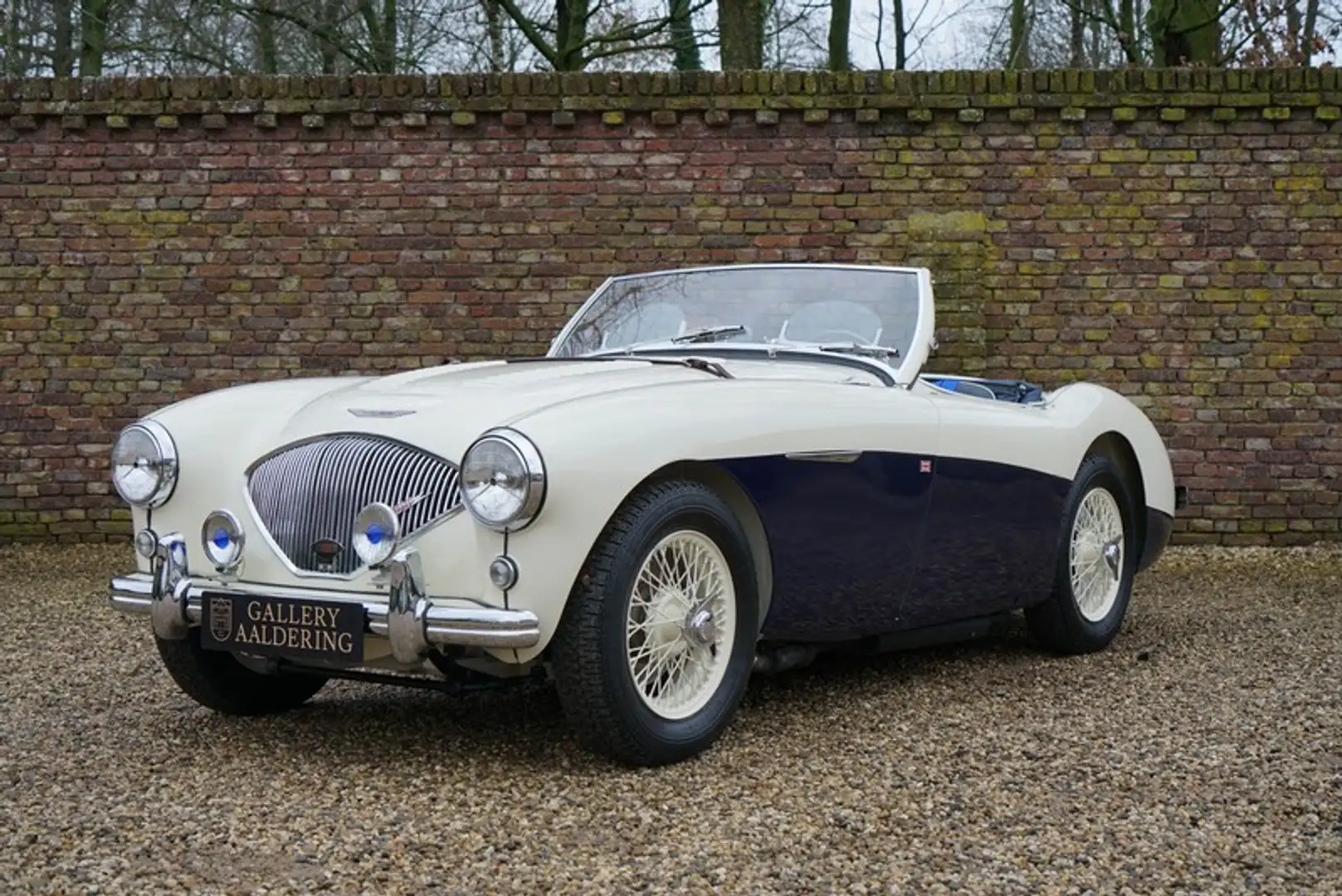 Austin-Healey 100 100/4 BN1 100M-spec, Denis Welch cilinder head, fu Alb - 1