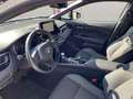 Toyota C-HR 2.0 Hybrid Team Deutschland - thumbnail 16