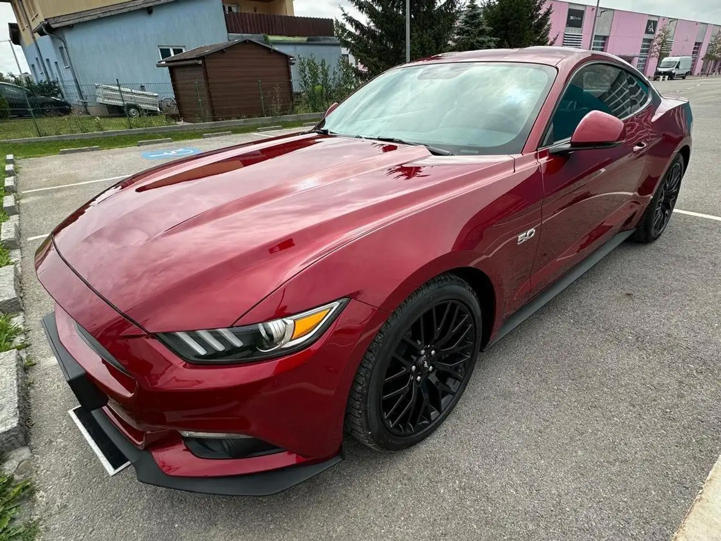 Ford Mustang Mustang 5,0 Ti-VCT V8 GT Aut. GT Rot - 1