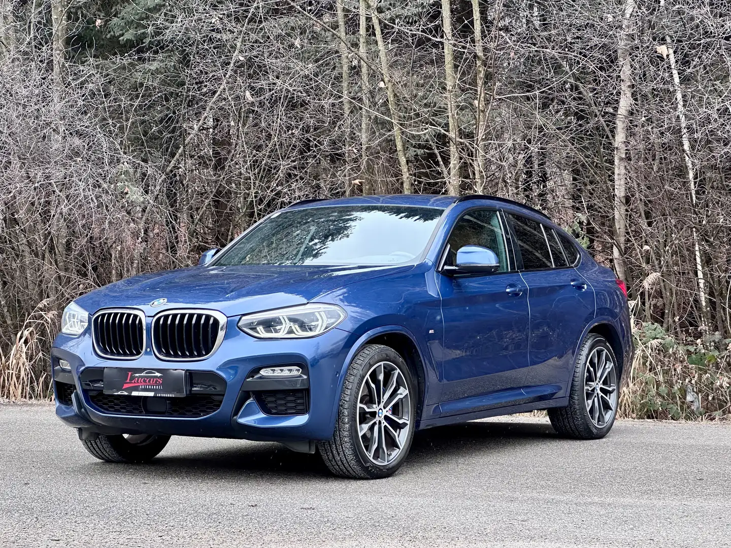 BMW X4 xDrive 30d M-Sport Aut.1HAND*AHK*ACC*360*STANDHZG* Blau - 1