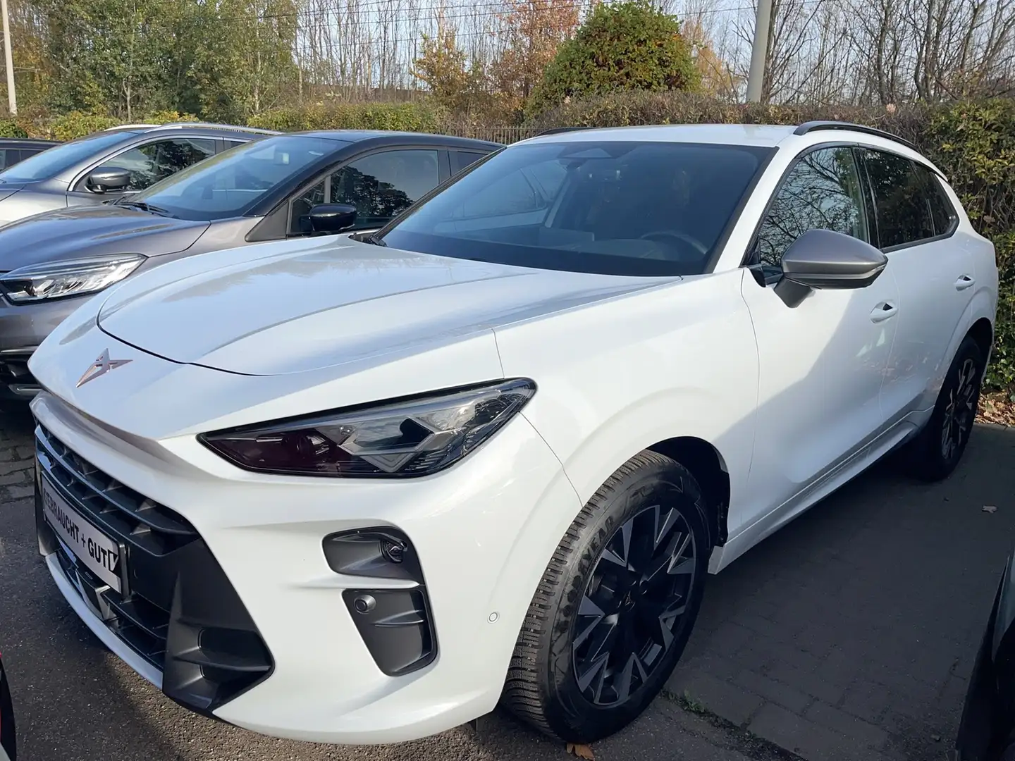 CUPRA Terramar 1.5 eTSI Matrix DCC Navi el.HK 360°Kam Weiß - 1