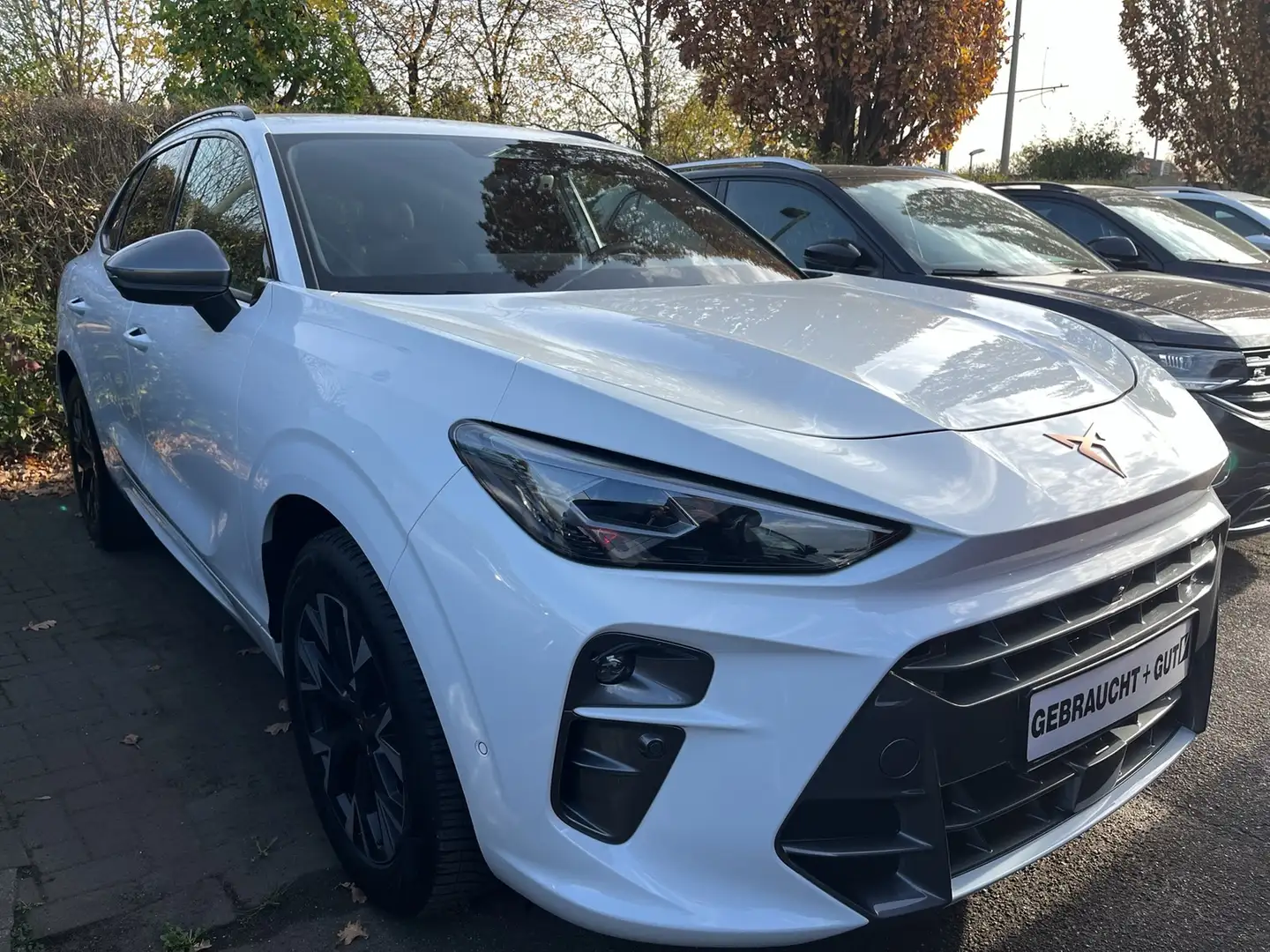 CUPRA Terramar 1.5 eTSI Matrix DCC Navi el.HK 360°Kam Weiß - 2