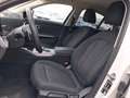 BMW 320 320iA Blanco - thumbnail 12