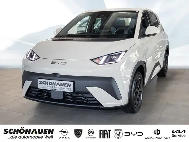 BYD Dolphin Surf