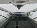 Ford Transit Limited Navigation|Kamera|AHK|PDC|ACC Weiß - thumbnail 13