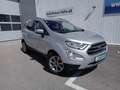 Ford EcoSport 1,0 EcoBoost Titanium Silber - thumbnail 1
