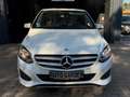 Mercedes-Benz B 160 B 160 CDI, TÜV NEU, TOP ZUSTAND Weiß - thumbnail 3