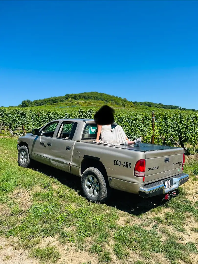 Dodge Dakota Dodge Dakota 4,7 V8 2WD - 2