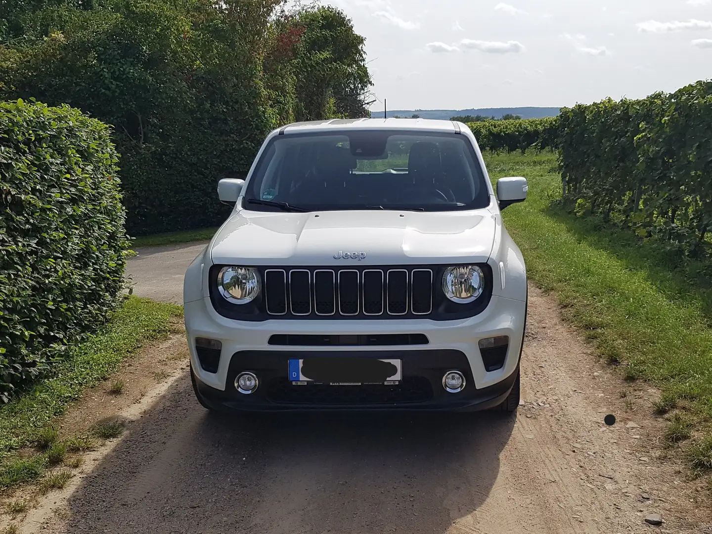 Jeep Renegade Renegade 1.0 T-GDI Longitude TOP Zustand White - 1