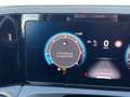 Volkswagen Tiguan R-Line TDI DSG Grau - thumbnail 15