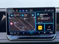 Volkswagen Tiguan R-Line TDI DSG Grau - thumbnail 16