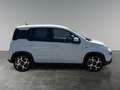 Fiat Panda 8-fach bereift! Weiß - thumbnail 6