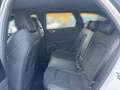 Kia Ceed SW / cee'd SW Ceed SW 1.5 T-GDI GT-Line | Rückfahrkamera | Weiß - thumbnail 5