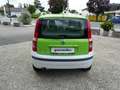 Fiat Panda 1,2 Alessi Verde - thumbnail 5