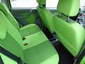 Fiat Panda 1,2 Alessi Verde - thumbnail 12