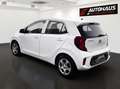 Kia Picanto 1,0 MPI Titan |LENKRADHEITZUNG|SITZHEITZUNG| Weiß - thumbnail 3