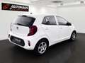 Kia Picanto 1,0 MPI Titan |LENKRADHEITZUNG|SITZHEITZUNG| Weiß - thumbnail 6