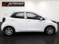 Kia Picanto 1,0 MPI Titan |LENKRADHEITZUNG|SITZHEITZUNG| Weiß - thumbnail 5