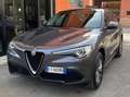Alfa Romeo Stelvio 2.2 t Business Q4 180cv auto Grigio - thumbnail 3