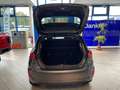 Ford Fiesta Titanium 1.0 EcoBoost 100PS Sitzh. PDC Gris - thumbnail 23