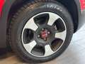 Fiat Panda Panda 1.2 City Cross Rouge - thumbnail 14