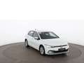 Volkswagen Golf VIII 2.0 TDI Life Aut LED RADAR NAVI ASSIST Weiß - thumbnail 6