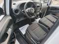 Mercedes-Benz Vito Kasten 109/110/111/114 CDI FWD kompakt Weiß - thumbnail 16